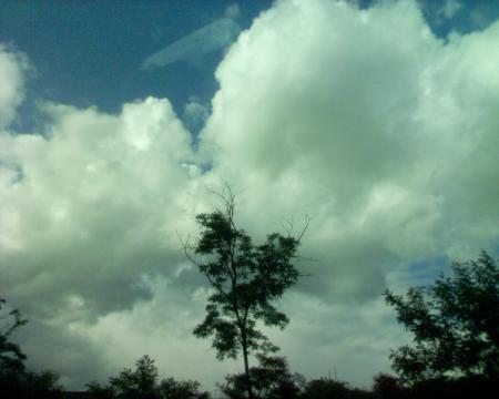 NuAgeS...