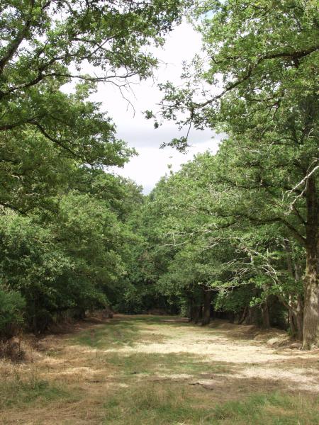 vendée