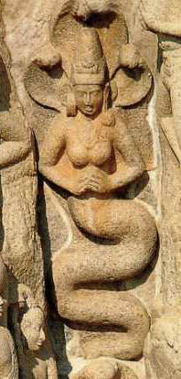 NAGA