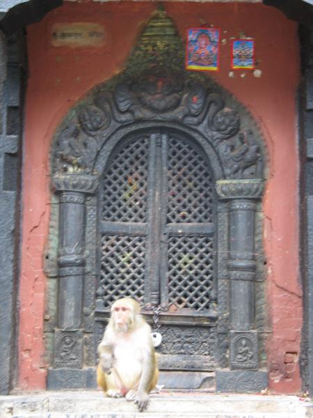 Pashupatinate