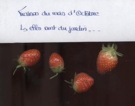 un peu en retard mais je tenais à les mettre =)
